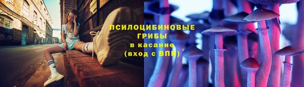 spice Новодвинск