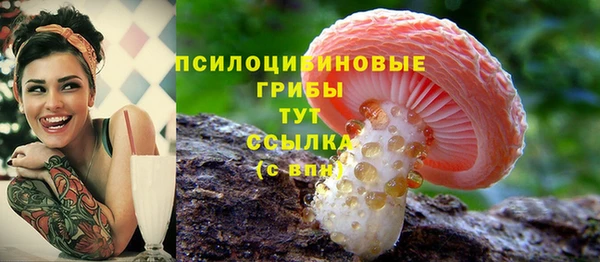 spice Новодвинск