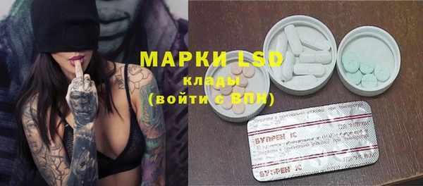 spice Новодвинск
