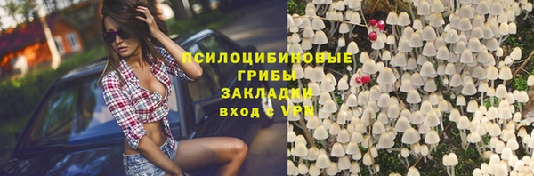 соль ск Новозыбков