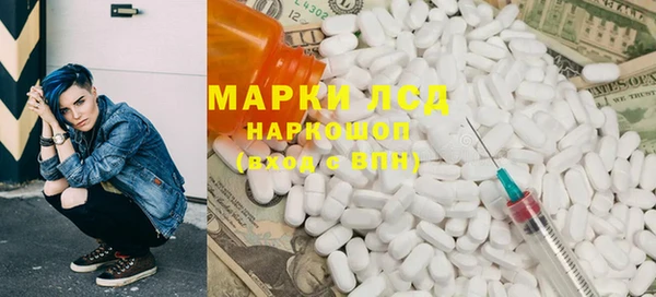 соль ск Новозыбков