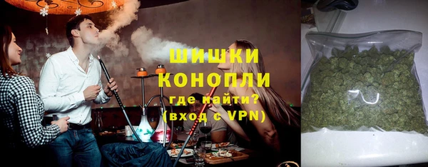 spice Новодвинск
