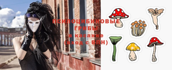 мяу мяу кристалл Няндома