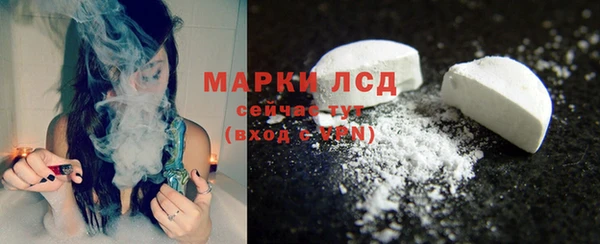spice Новодвинск