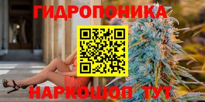 мдма Гусев