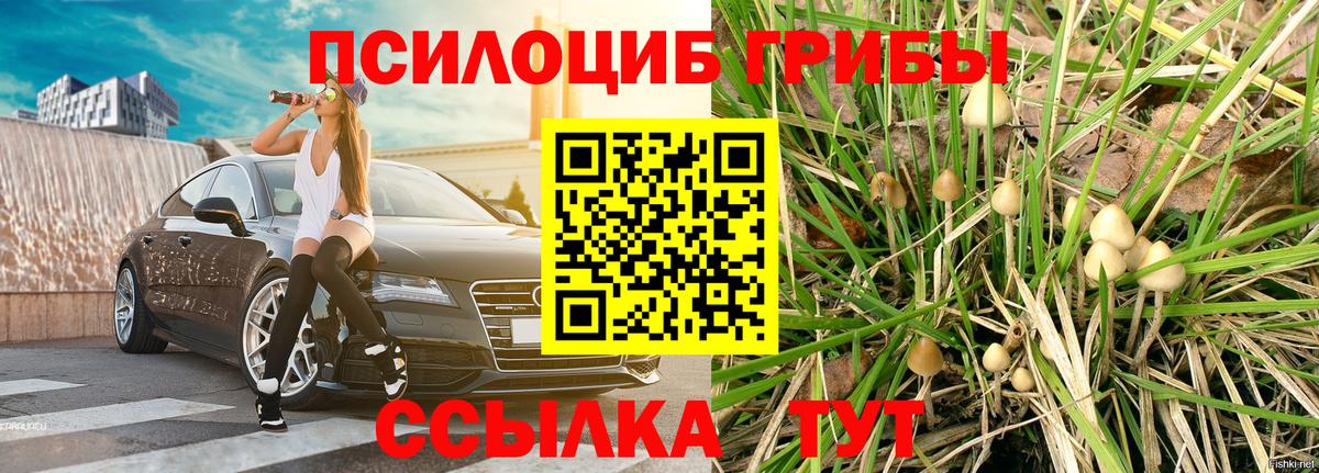 Галлюциногенные грибы Magic Shrooms Заволжье