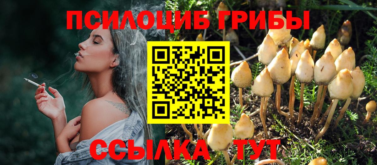 Псилоцибиновые грибы прущие грибы  Галлюциногенные грибы GOLDEN TEACHER  где купить наркоту  Заволжье 
