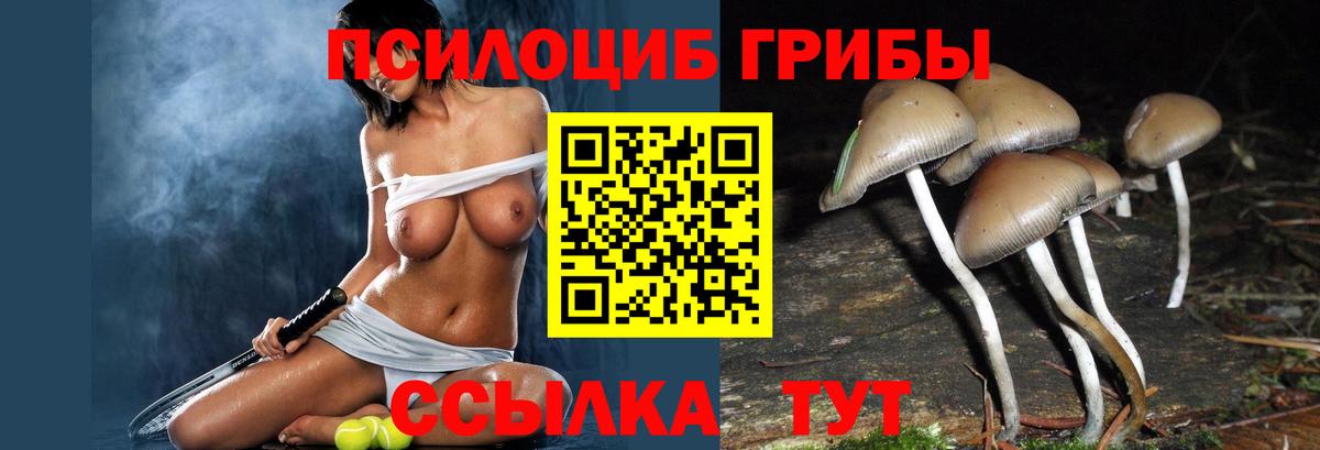 Галлюциногенные грибы MAGIC MUSHROOMS  Вход с VPN  Заволжье  Псилоцибиновые грибы ЛСД 